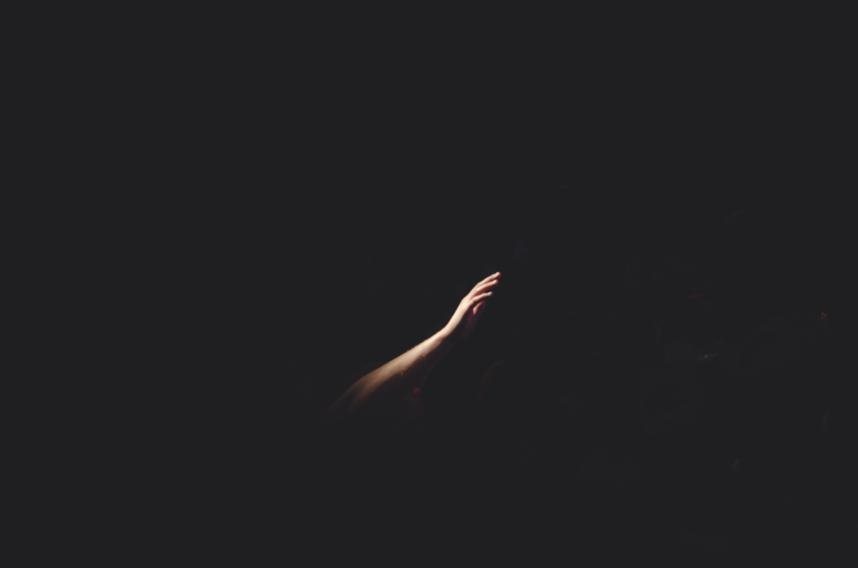 cherry-laithang-NmPpz1jA_JE-unsplash cherry-laithang-NmPpz1jA_JE-unsplash