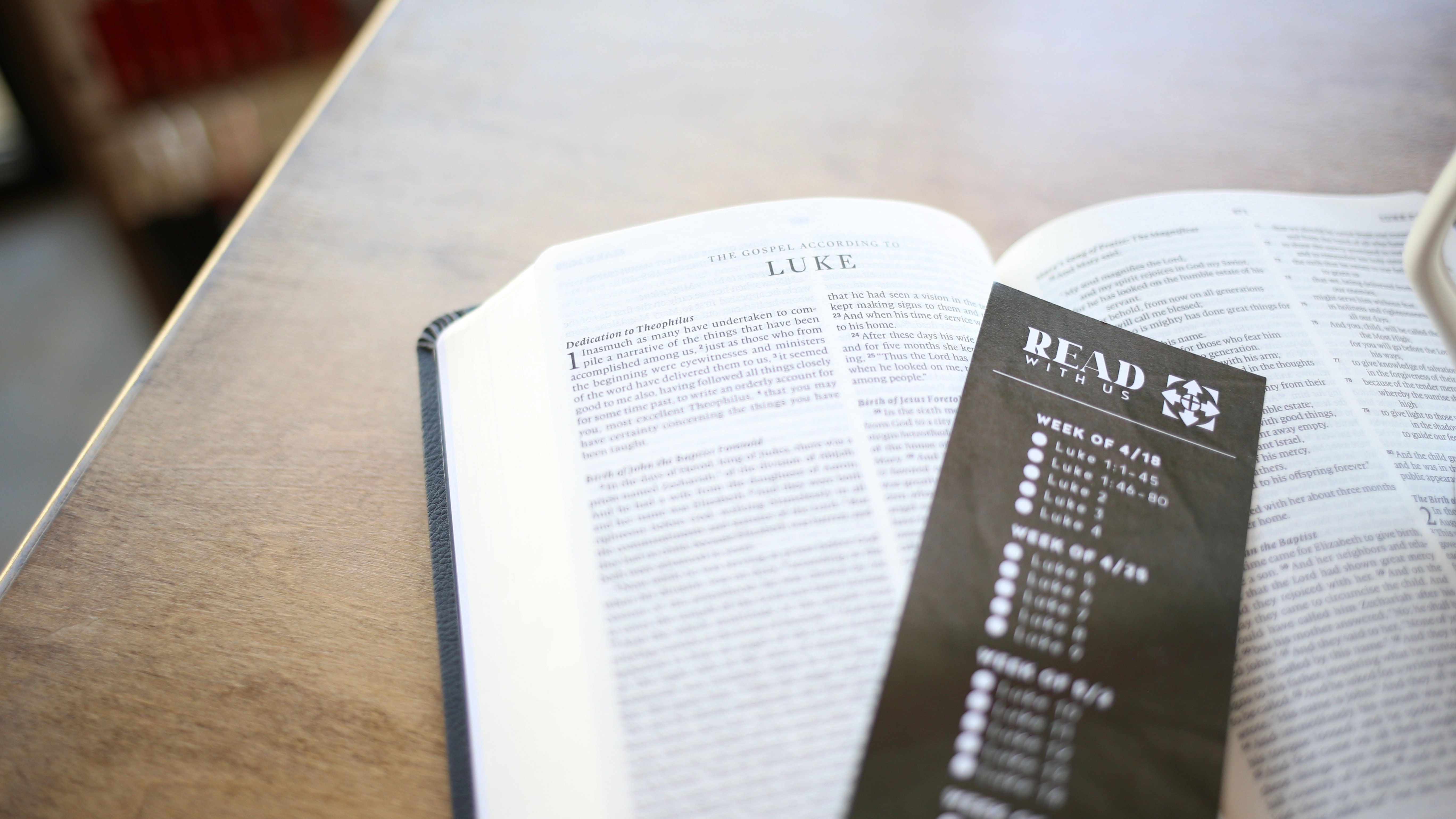 IMG_8092 2 IMG_8092 2